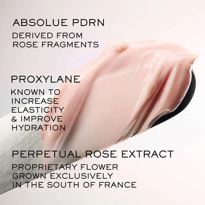 Absolue Rich Cream Moisturizer